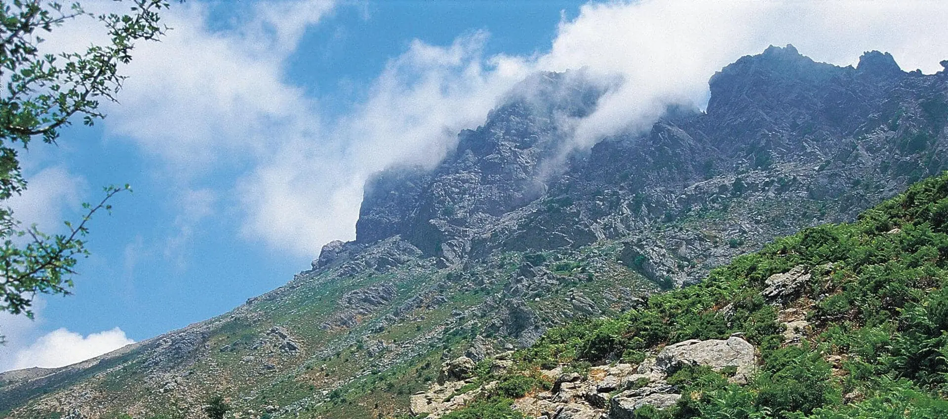 Mountains & Gorges Mountains & Gorges